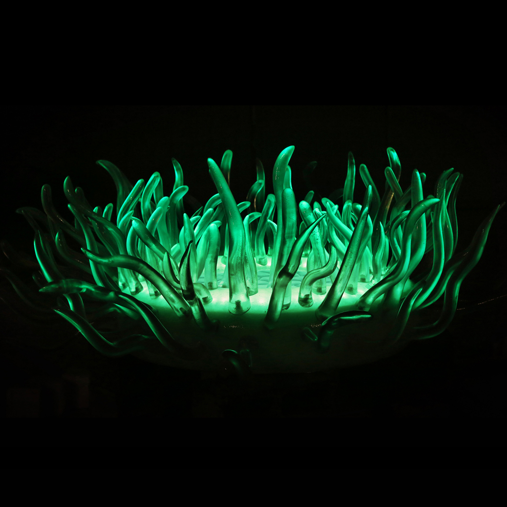 俄罗斯海参崴海洋馆